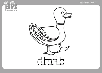 Duck Coloring Page